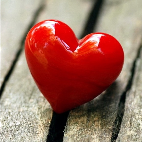 Meet your Posher, Heidi - Picture 4 of 5